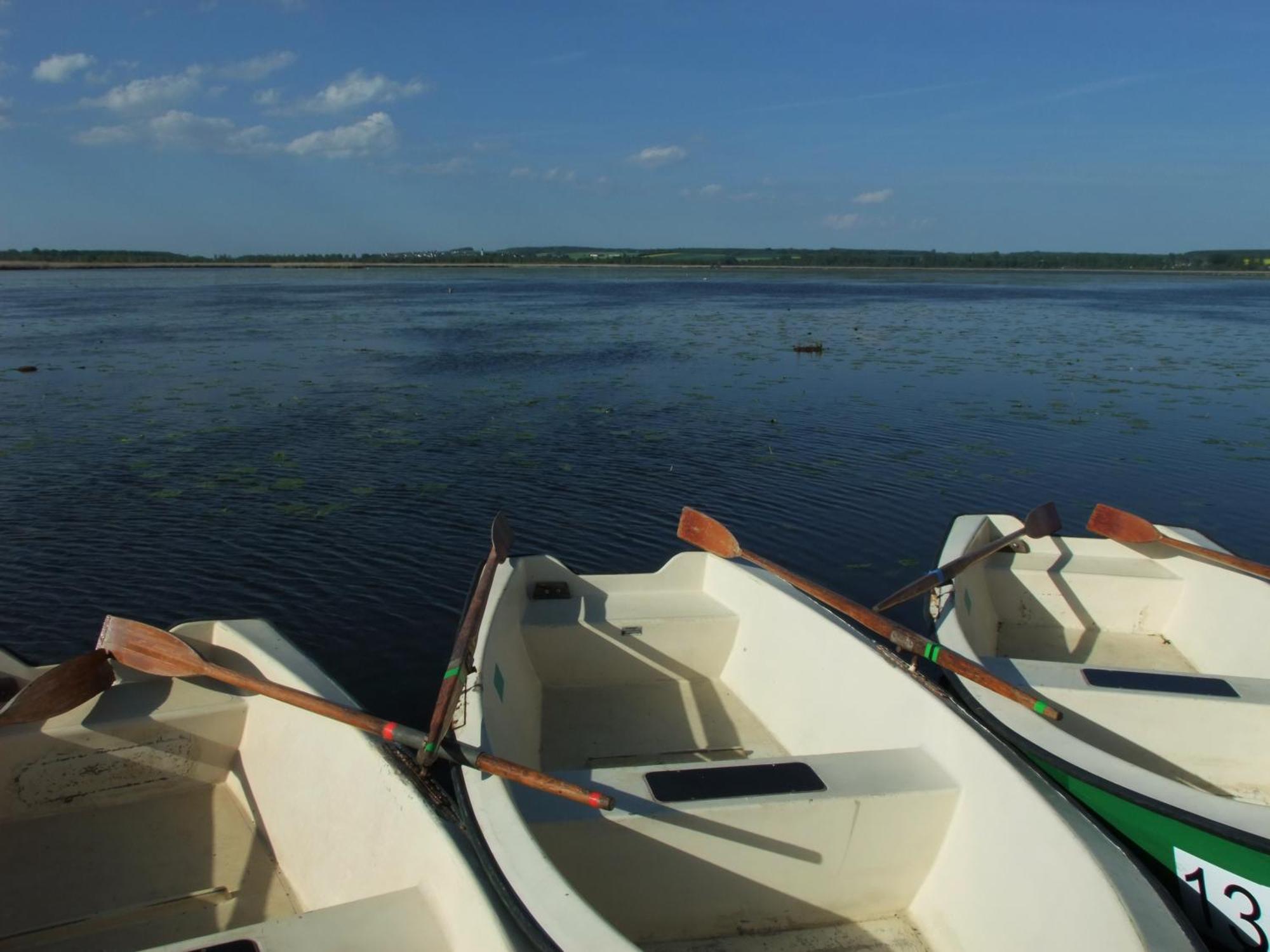 Hotel Pension Stern Bad Buchau Zewnętrze zdjęcie